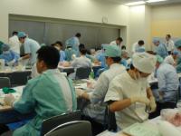アメリカ ミシガン大学歯周病科Hom-Lay Wang教授　 審美外科手術実習コース（東京）